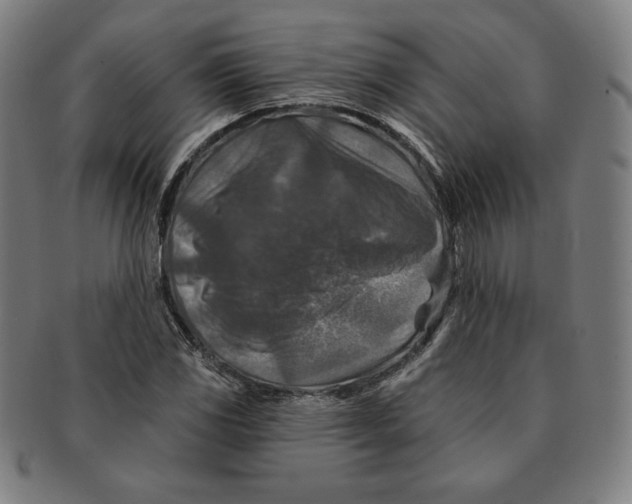 X0000090951117200708301133