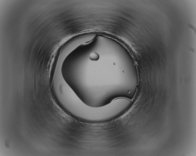 X0000090951118200708301133