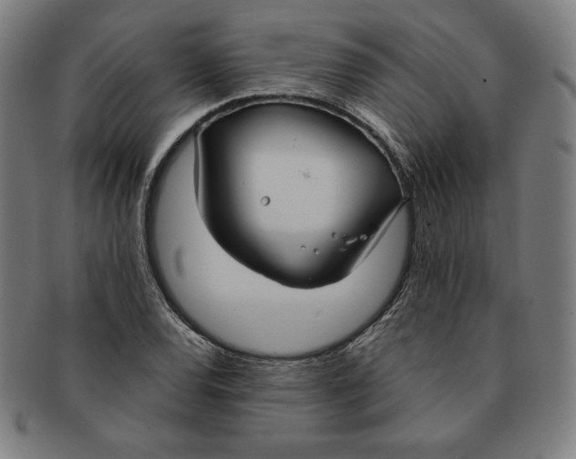 X0000090951120200708301133