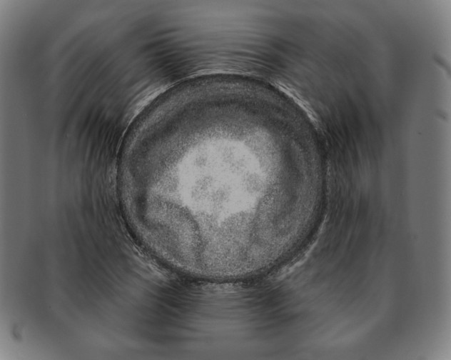 X0000090951121200708301133