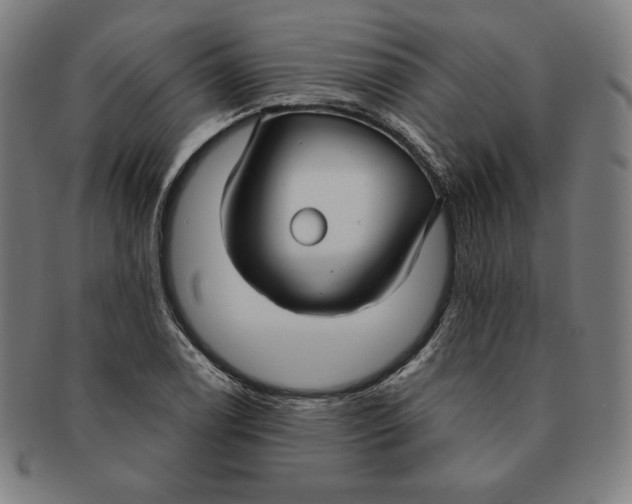 X0000090951122200708301133