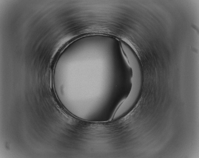 X0000090951123200708301133