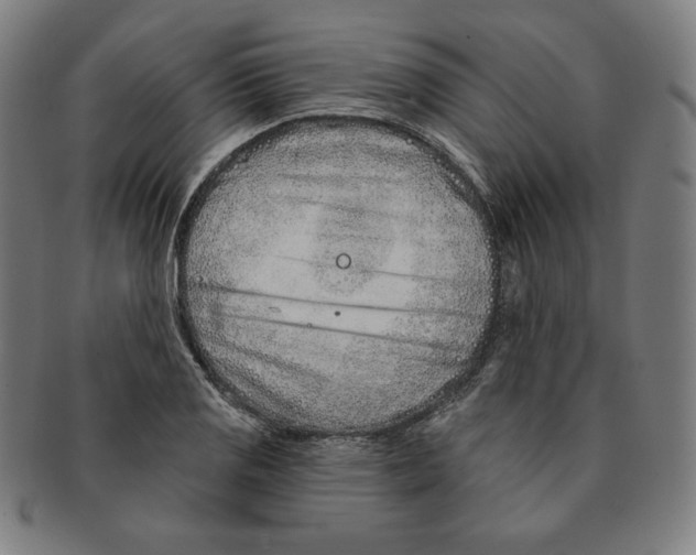 X0000090951125200708301133