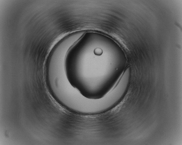 X0000090951126200708301133