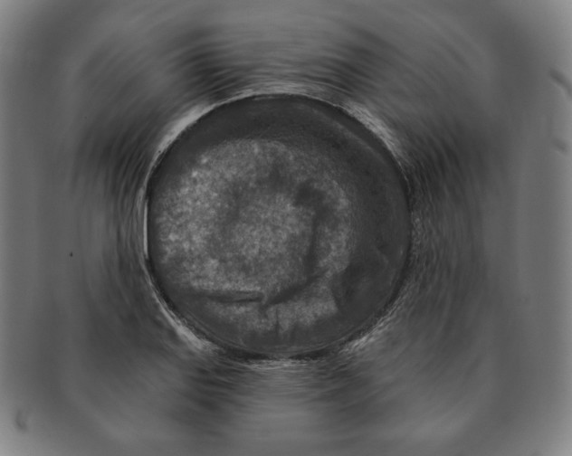X0000090951127200708301133