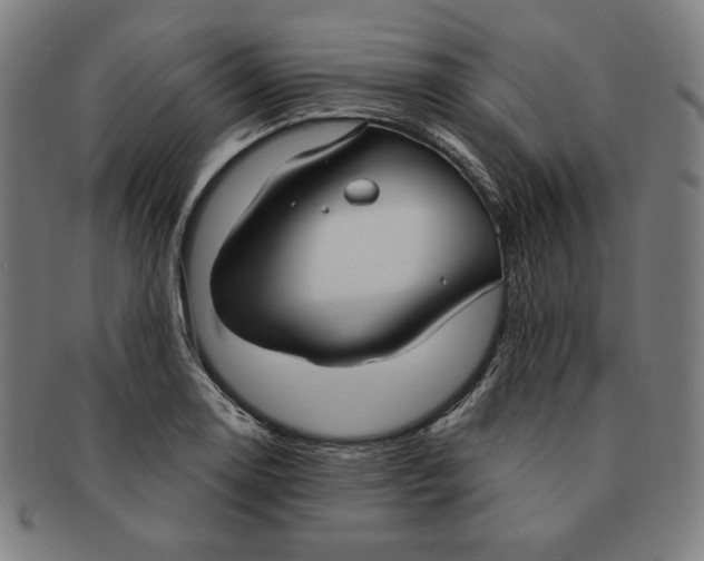 X0000090951130200708301133