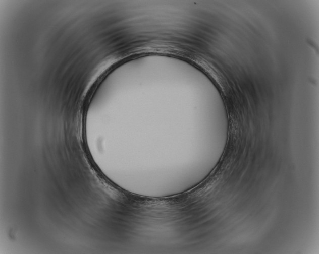 X0000090951131200708301133