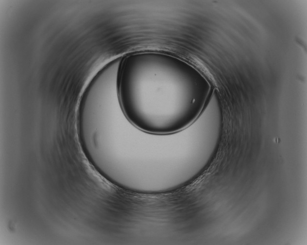 X0000090951132200708301133