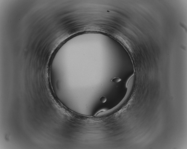 X0000090951133200708301133