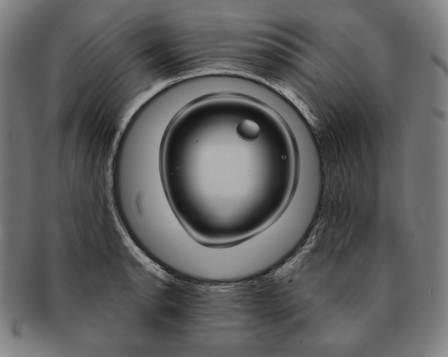 X0000090951134200708301133