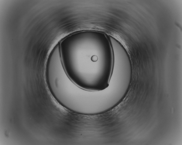 X0000090951136200708301133