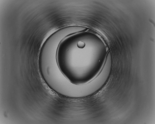 X0000090951138200708301133