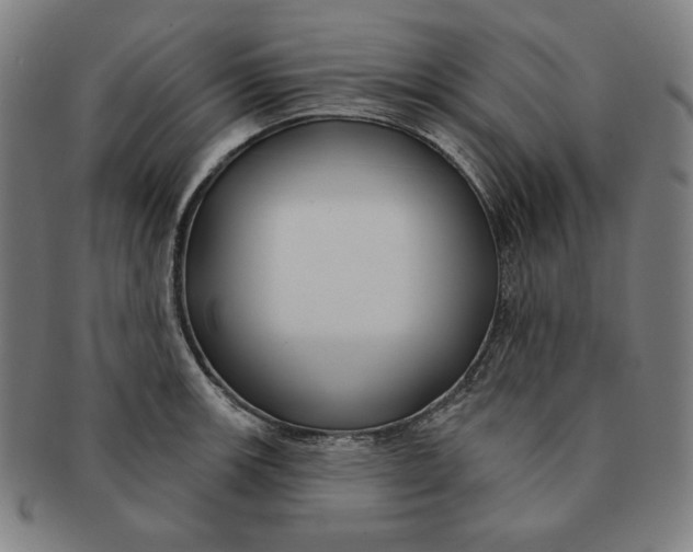 X0000090951139200708301133