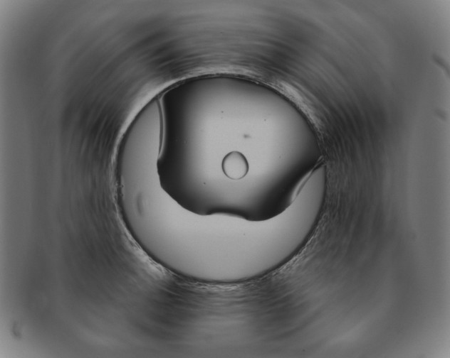 X0000090951140200708301133