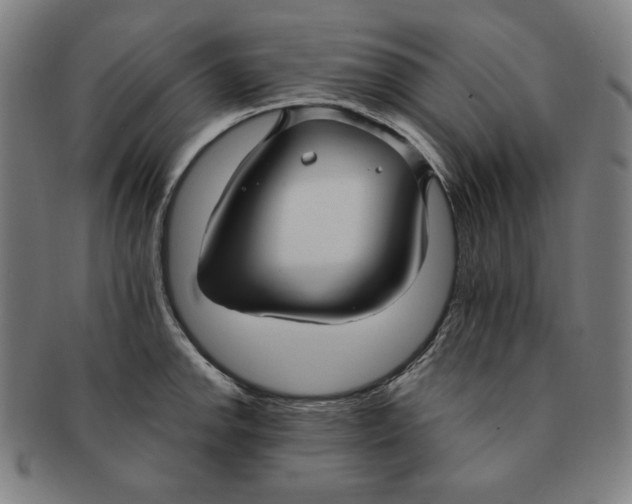 X0000090951142200708301133