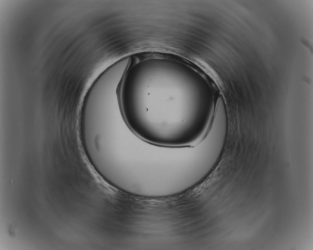 X0000090951144200708301133