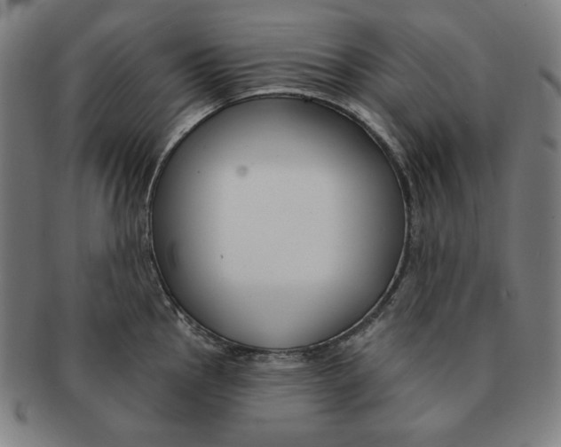 X0000090951145200708301134