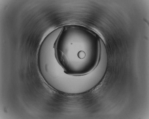 X0000090951146200708301134