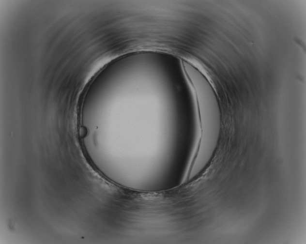 X0000090951147200708301134