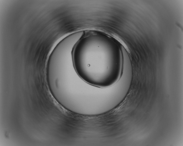 X0000090951148200708301134