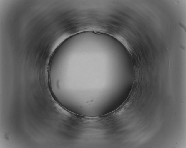 X0000090951151200708301134
