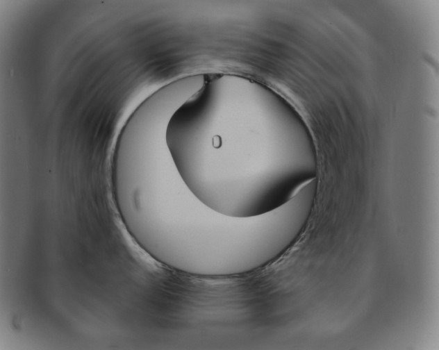X0000090951152200708301134