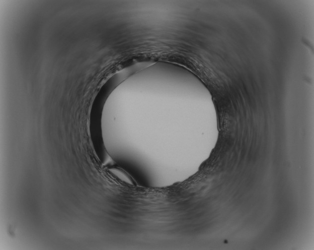 X0000090951153200708301133