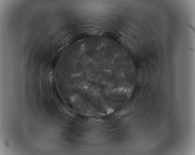 X0000090951154200708301133