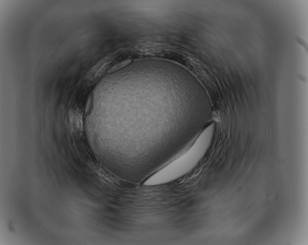 X0000090951155200708301133