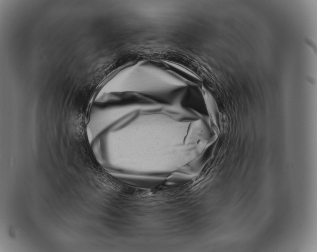 X0000090951156200708301133