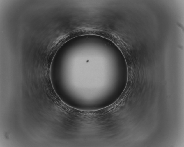 X0000090951157200708301133