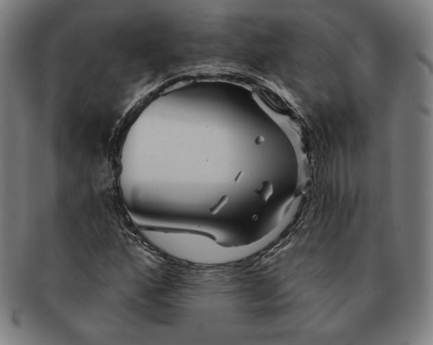 X0000090951160200708301133
