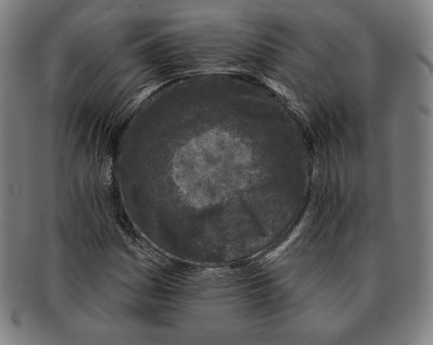 X0000090951161200708301133