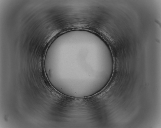 X0000090951162200708301133