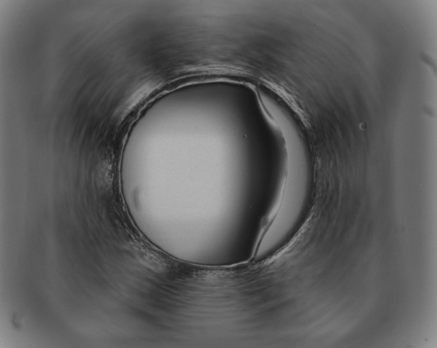 X0000090951163200708301133