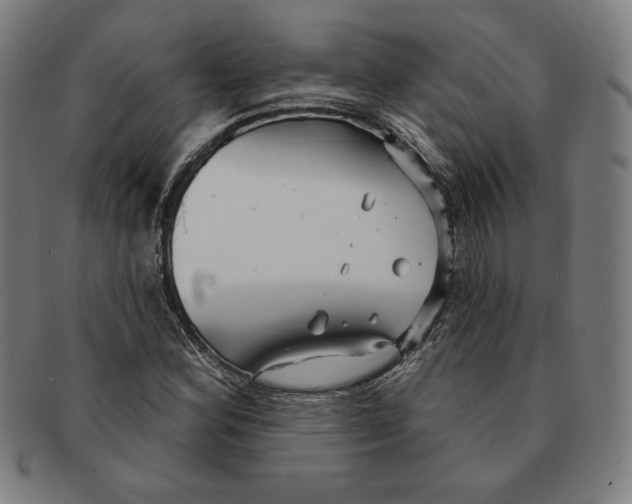 X0000090951164200708301133