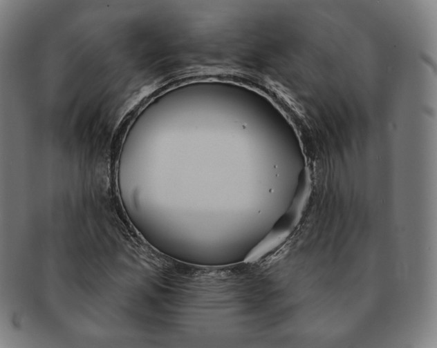 X0000090951165200708301133