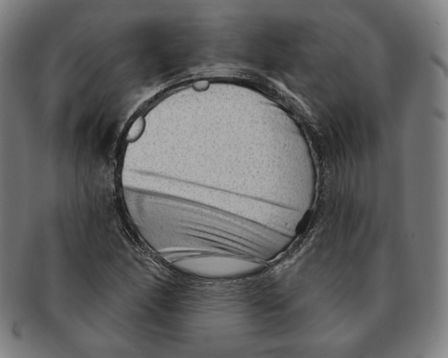 X0000090951166200708301133