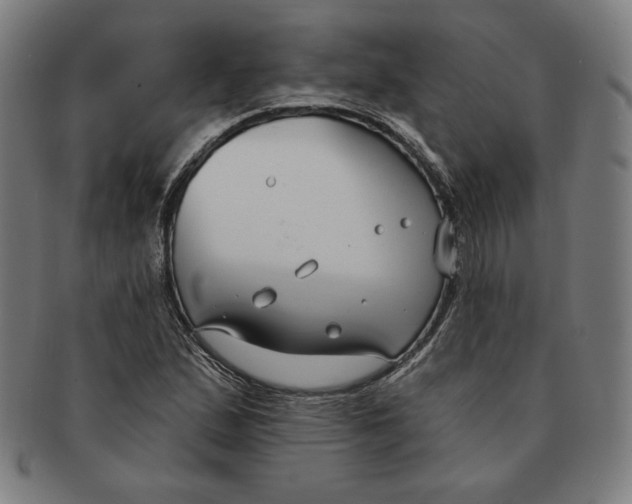 X0000090951167200708301133