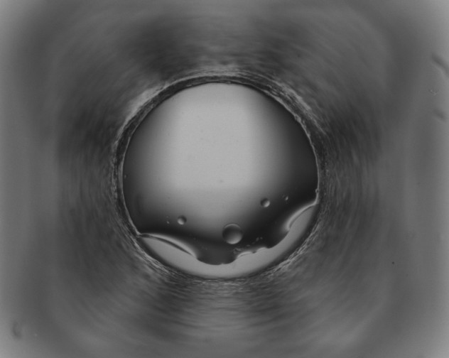 X0000090951168200708301133