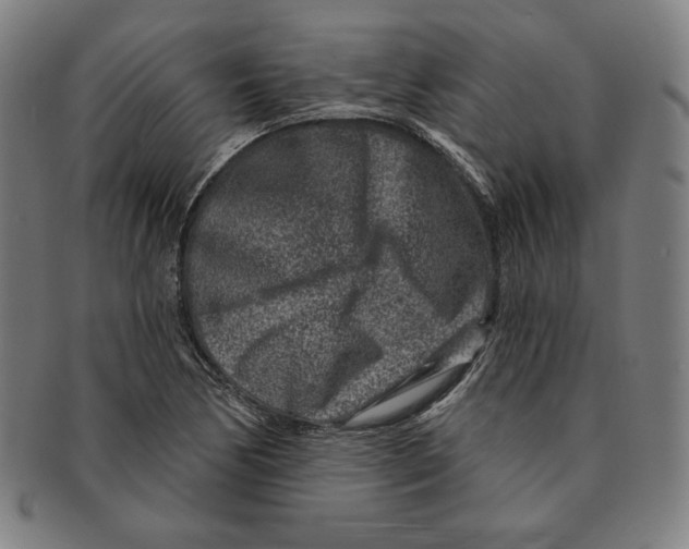 X0000090951170200708301133