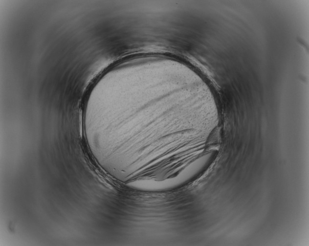 X0000090951171200708301133