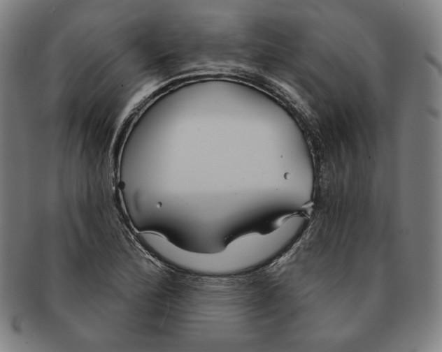 X0000090951172200708301133
