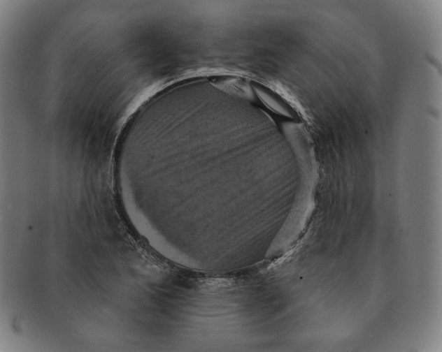 X0000090951173200708301133