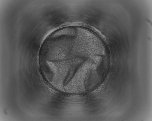 X0000090951174200708301133