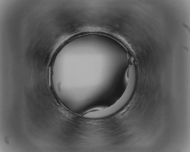 X0000090951175200708301133