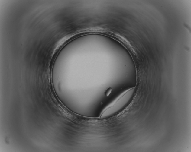 X0000090951176200708301133