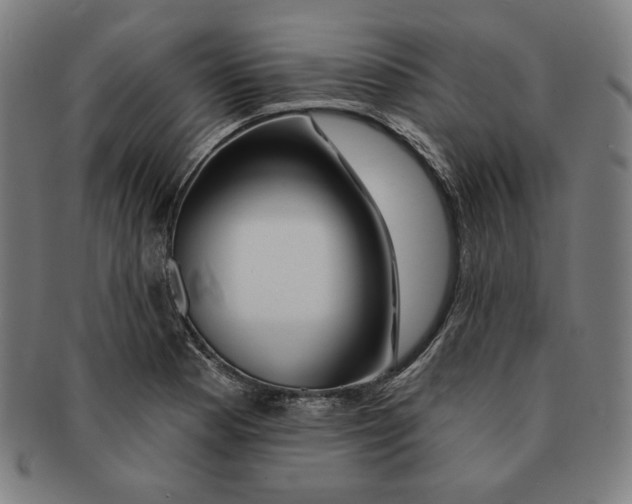 X0000090951177200708301133