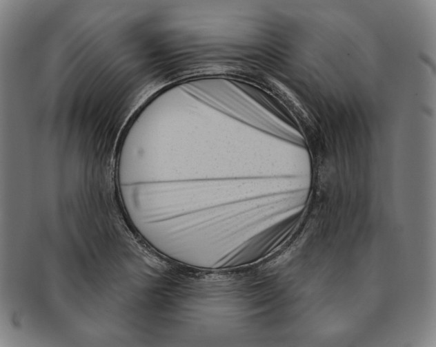 X0000090951178200708301133