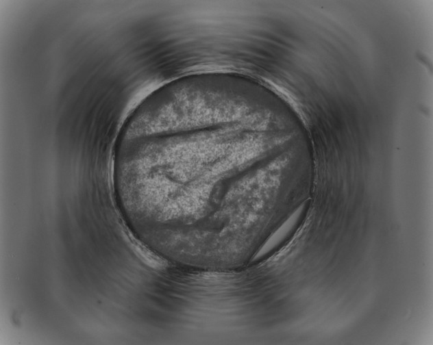 X0000090951179200708301133